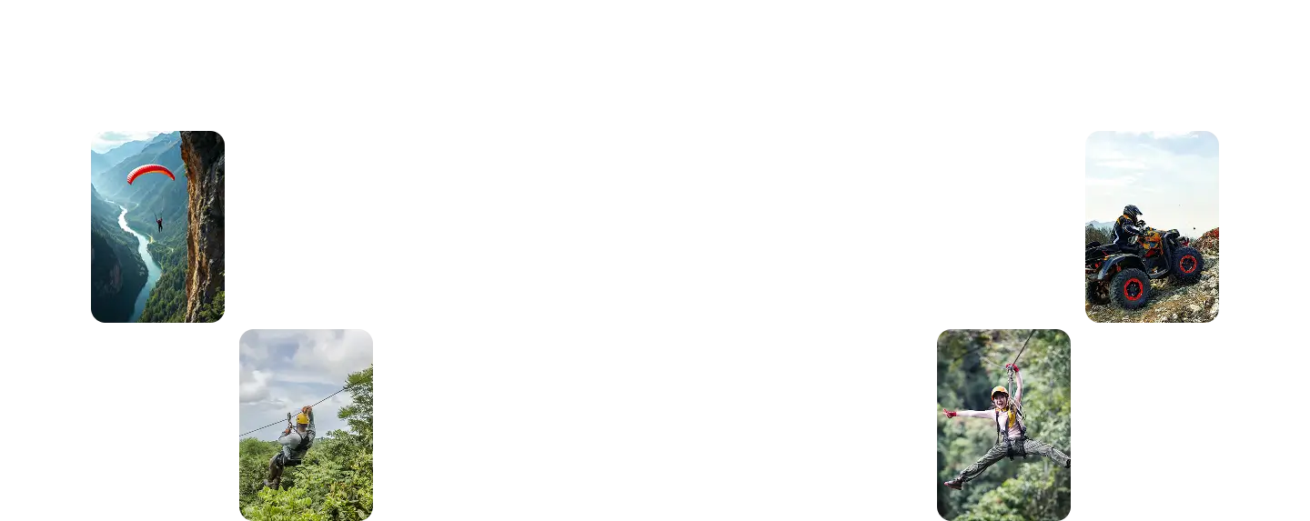 banner principal